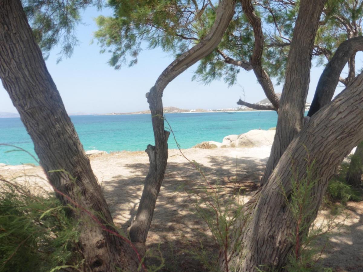Villa Stou Chiou Agia Anna  Buitenkant foto